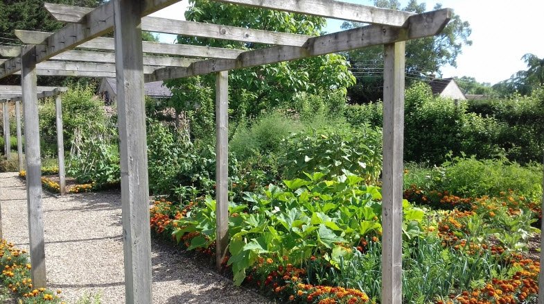 The Walled Gardens of Cannington Tea Room, , United Kingdom